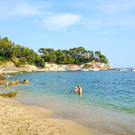 T2 Cosy Toulon, Proche Plage Exterior foto